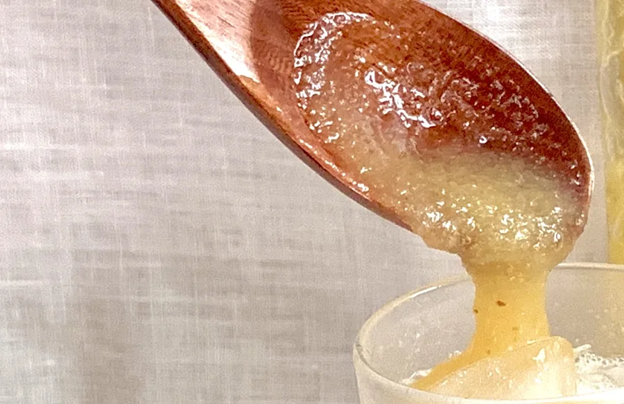 皮ごと無添加・非加熱の生レモンペースト